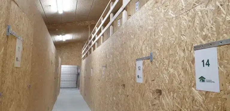 81b52eef985a5ff1837d285770c60a1b20120c7d